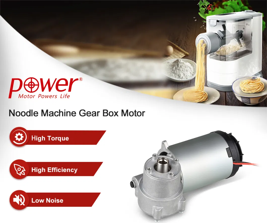 220V Gear Motor High Volt PMDC Motor Built in Gear Assembly for Noodle Machine