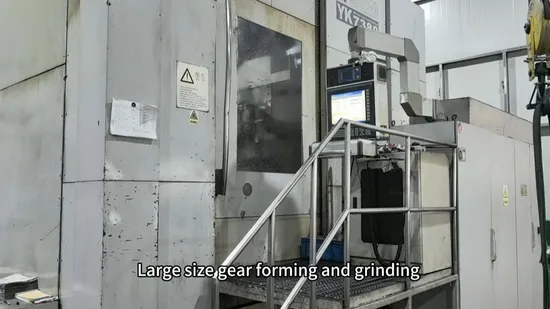 Precision Helical Gear Cylindrical Internal Transmission Gear Shaft for Industrial Gear Reducer 