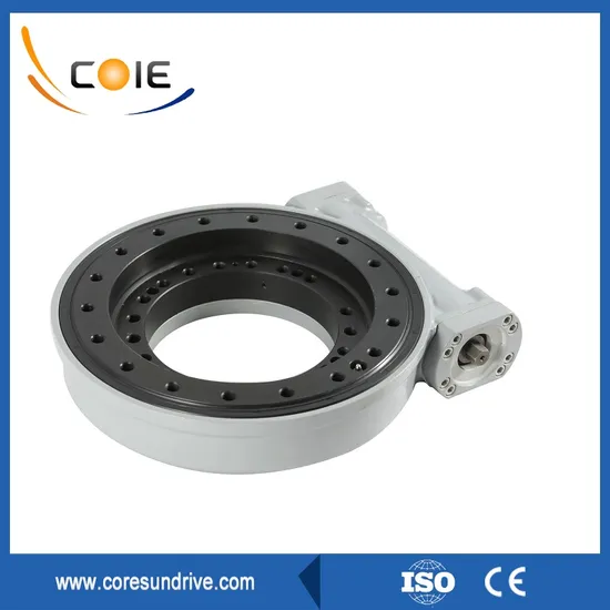 Wh14 Heavy Load Worm Drive Slewing Gear Reduction for Mounted Truck Crane Drilling Rig, Excavator 