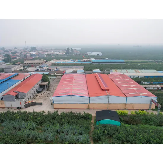 Customized Cylindrical Gear Module 5 with 135 Teeth Helical Gear for Reducers 