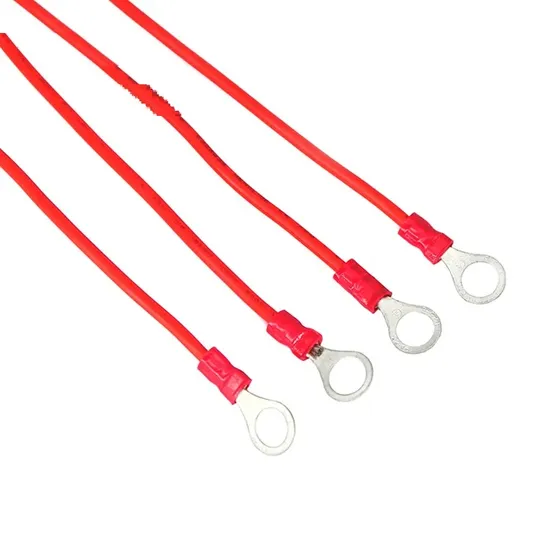 Custom 12V Car Fuse Holder / Box Ring Terminal Auto Battery Cables Assembly 