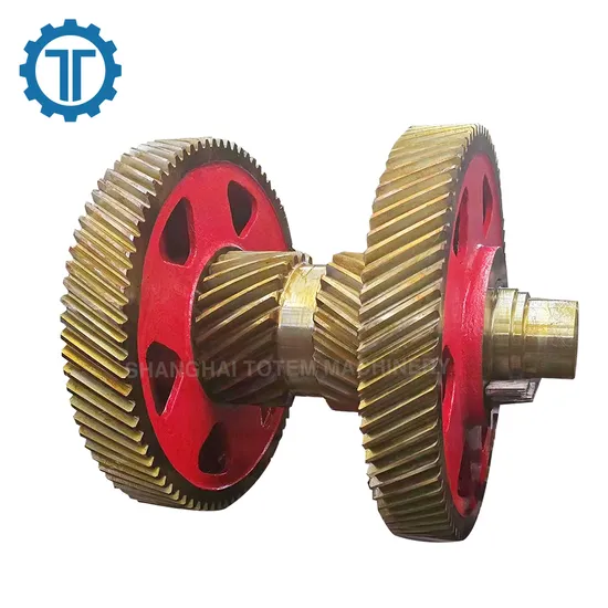 Totem High Quality Excavator Large Diameter Gear Box Speed Reducer Transmission Big Custom Cast Metal Steel Spur Gear 
